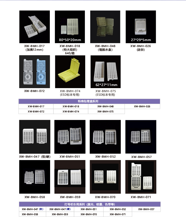 中国最强病理供应链制造商 (1)-40 拷贝.jpg