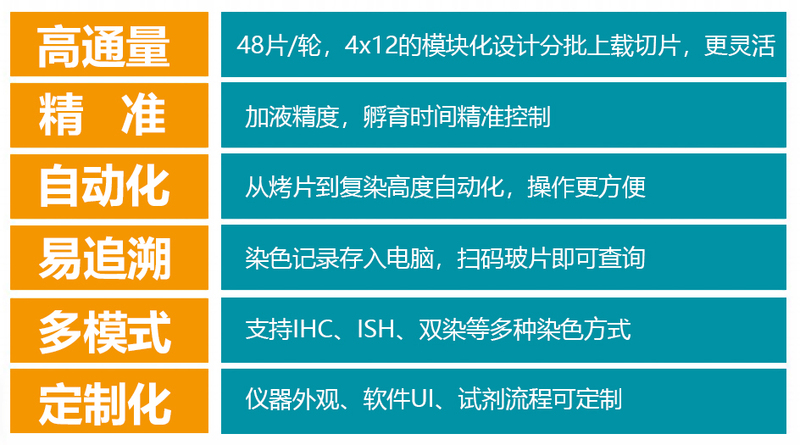 染色.jpg