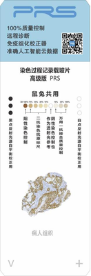 图片16.png